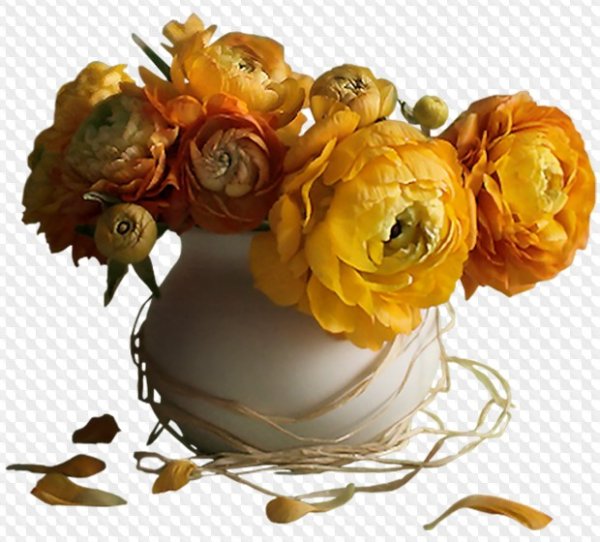 Засохшие цветы