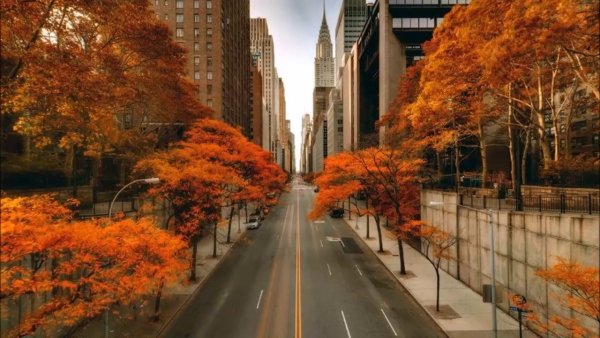 Осень на улицах Нью-Йорка