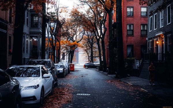 Городской двор Нью Йорка