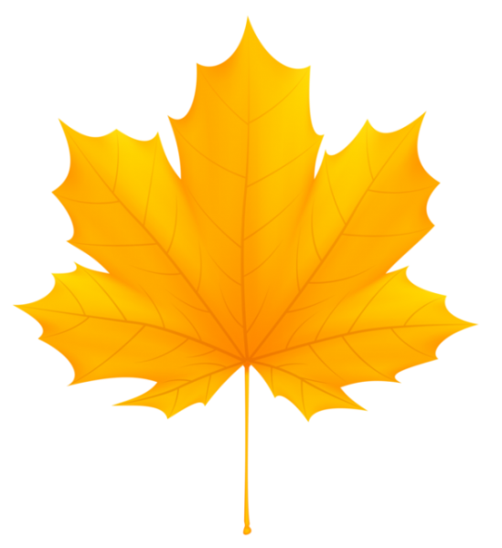 Желтые листья на прозрачном фоне