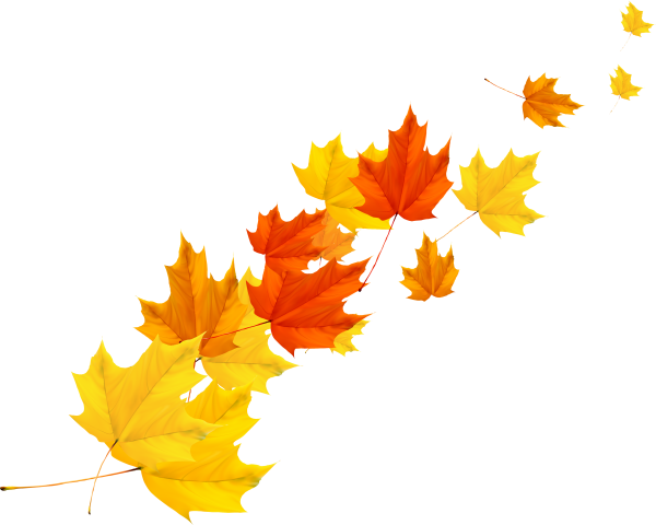 Осенние листочки