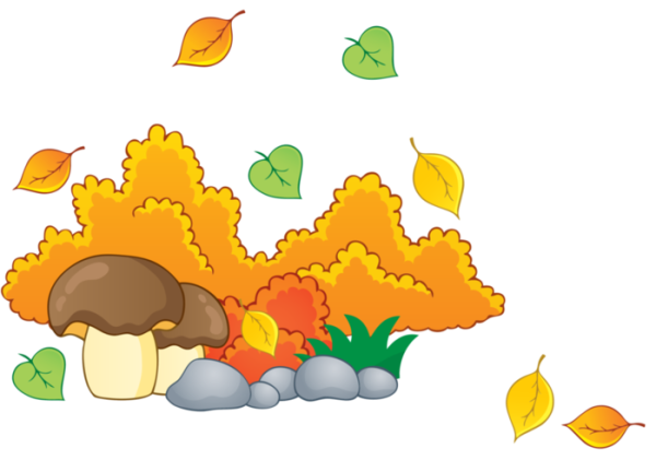 Осень отрисовки