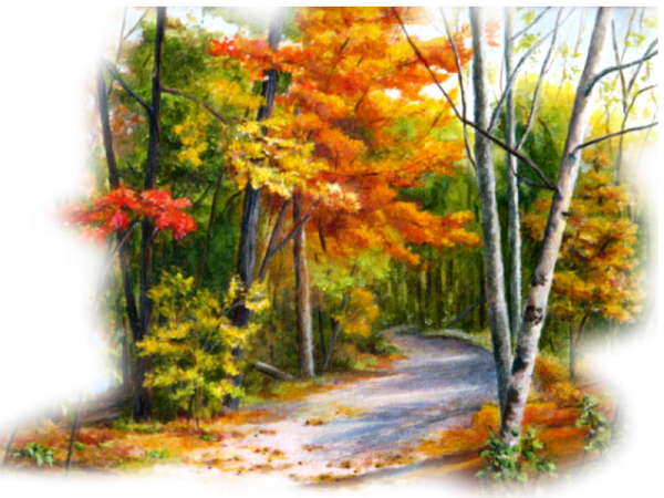 Осенний лес на прозрачном фоне