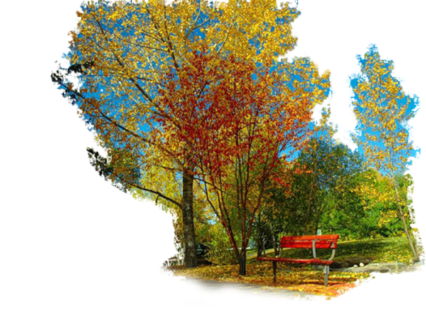 Осенняя природа на прозрачном фоне