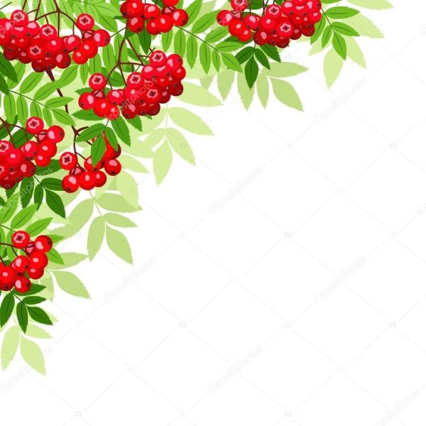 Рамки для группы Рябинка