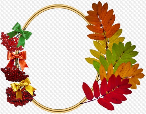 Рамка рябина