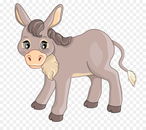 Осел для детей