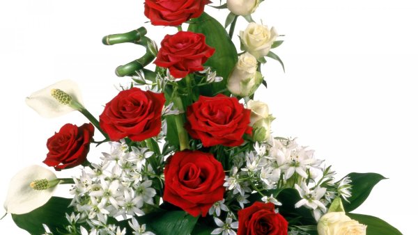 Букет на белом фоне