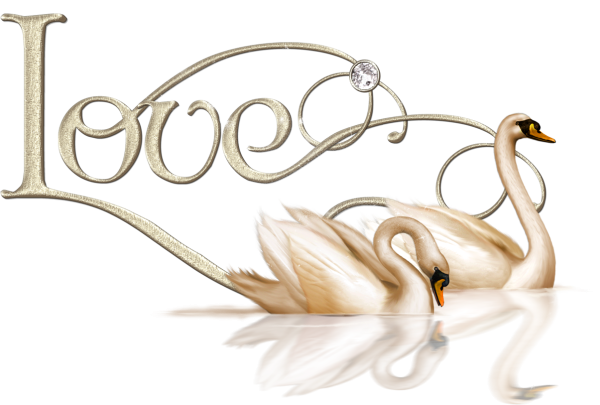 Свадебный клипарт для фотошопа