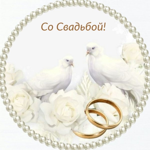 Свадебные голуби