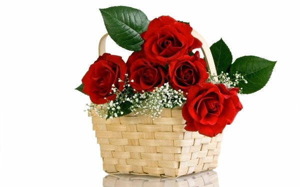 Корзина роз