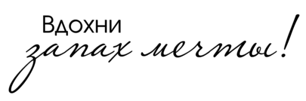 Фон для цитат без надписей