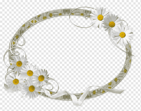 Рамка ромашки