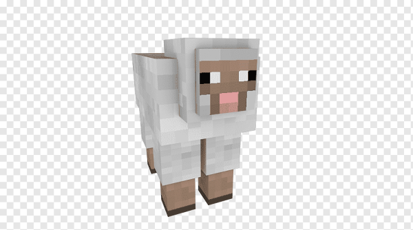 Овца из майна