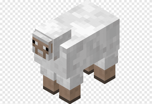 Овца из майна