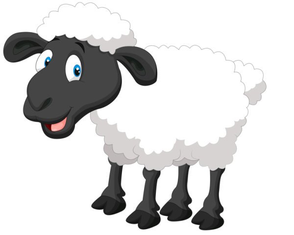 Овца вектор