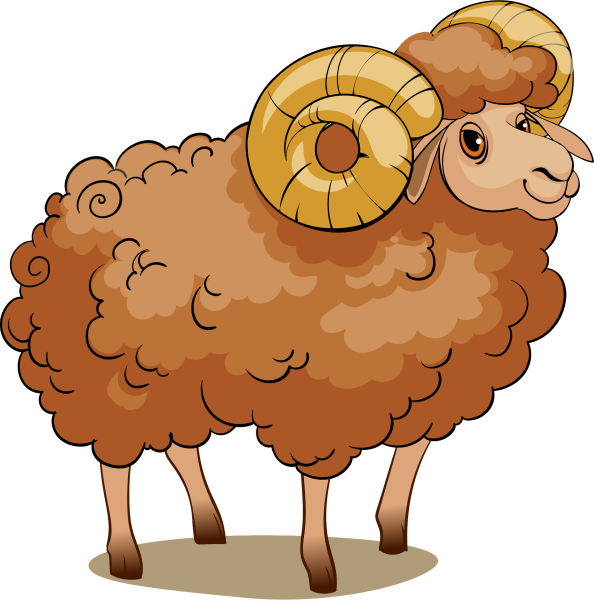 Баран рисунок