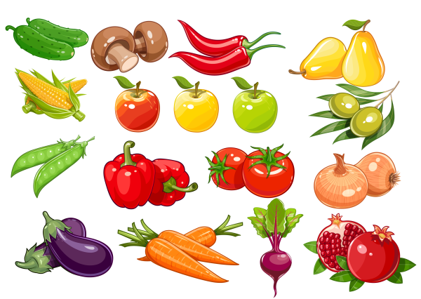 Овощи фрукты вектор