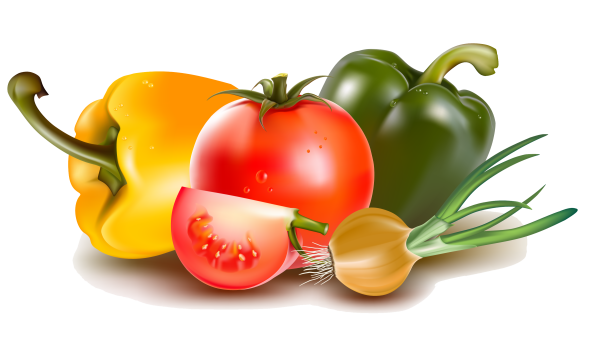 Отрисовка овощи