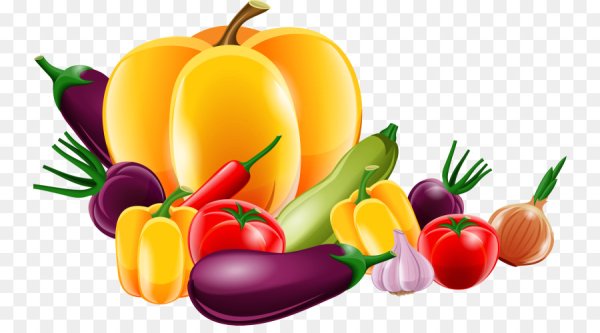 Овощи вектор