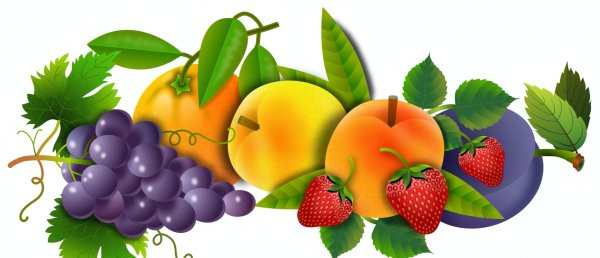 Фрукты для детей на прозрачном фоне