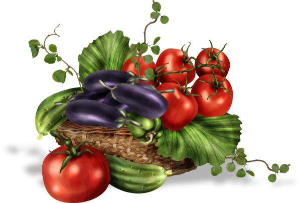 Овощи на прозрачной основе