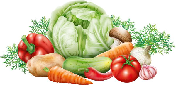 Клипарт овощи на прозрачном фоне