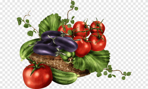 Клипарт овощи на прозрачном фоне