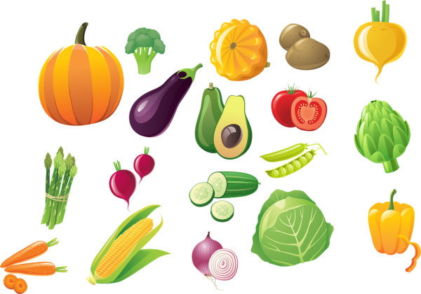 Векторные иллюстрации овощи