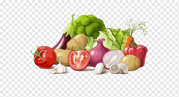 Овощи иллюстрация