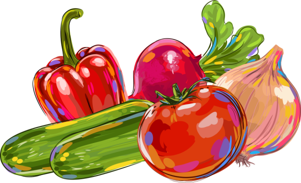 Овощи рисунок для детей