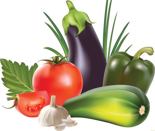 Овощи иллюстрация
