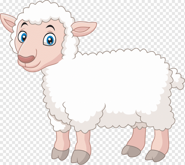 Барашек на белом фоне