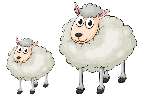 Овечка рисунок