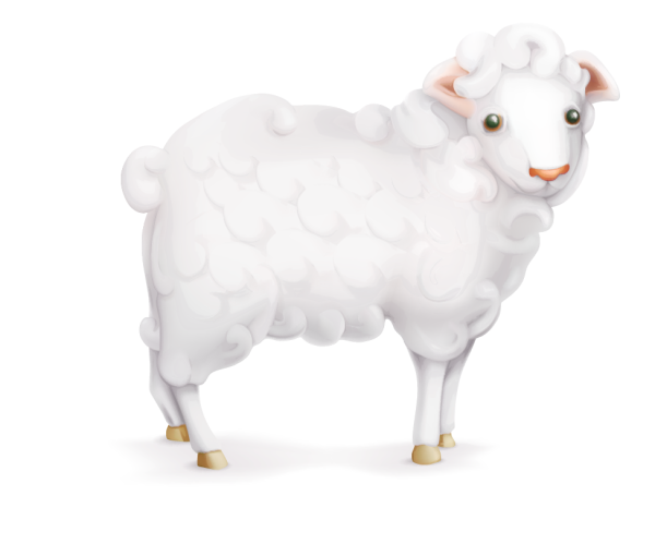 Овечка без фона