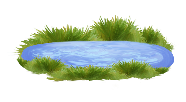 Водоем на белом фоне