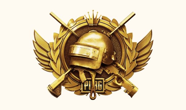 PUBG медаль