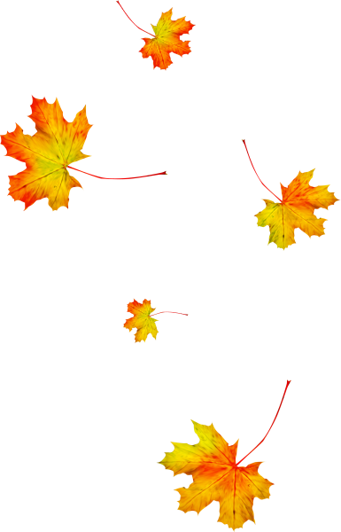 Падающие листья