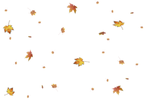 Осенний листопад на прозрачном фоне