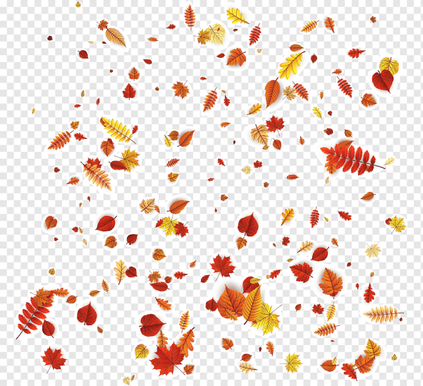 Россыпь осенних листьев