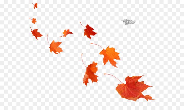 Листья летят