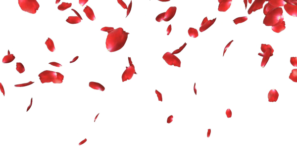 Падающие лепестки