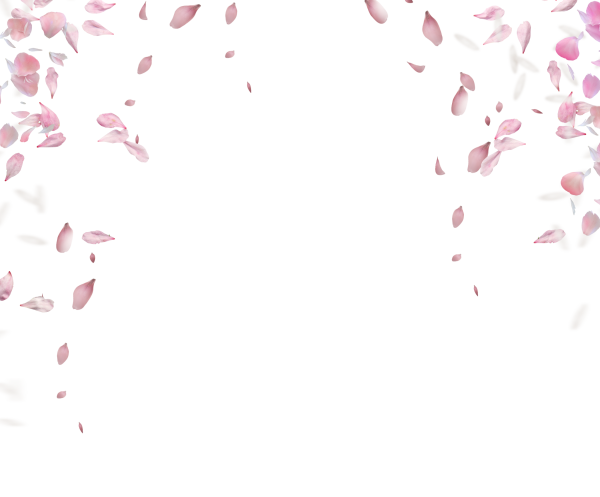 Лепесток Сакуры