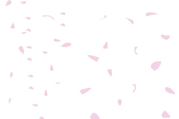 Падающие лепестки Сакуры на прозрачном фоне