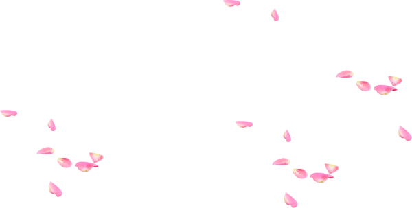 Летящие лепестки