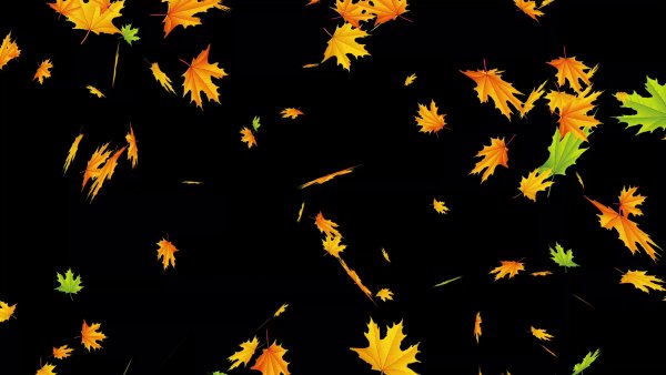 Падающие осенние листья