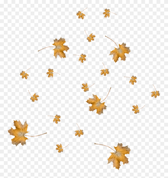Падающие листья на прозрачном фоне