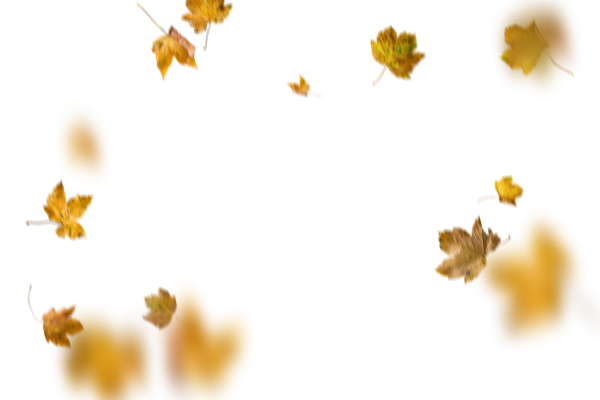 Падающие листья