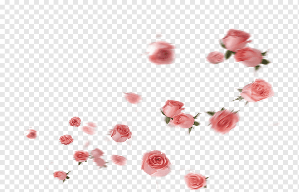Падающие розы на прозрачном фоне