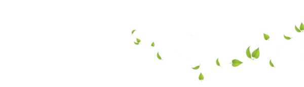 Зеленые листья на прозрачном фоне